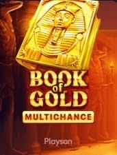 Winzter Casino Book Of Gold